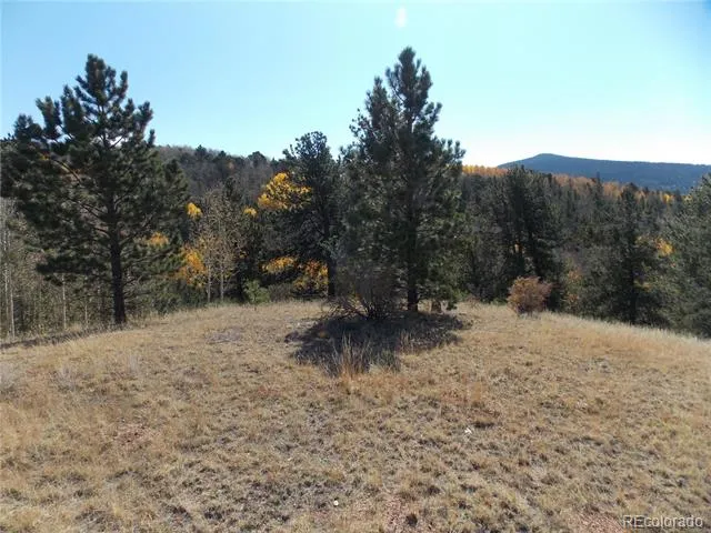 1944 May Queen Drive Cripple Creek, CO 80813