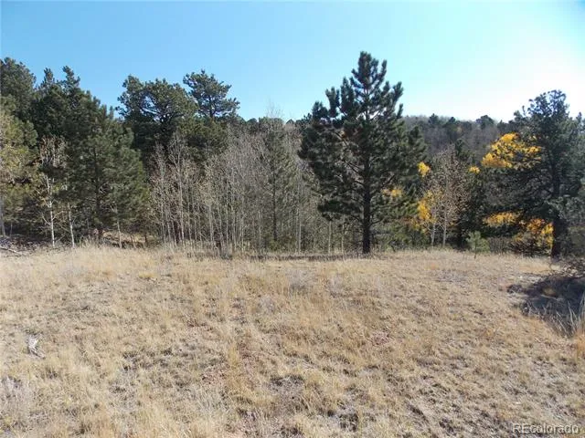 1944 May Queen Drive Cripple Creek, CO 80813