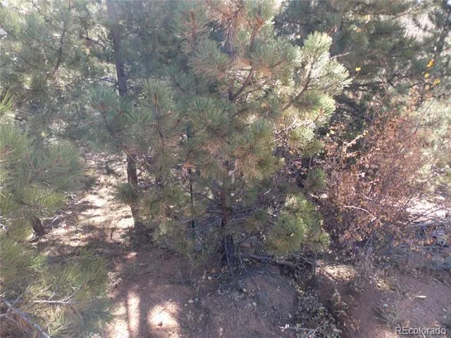 1944 May Queen Drive Cripple Creek, CO 80813