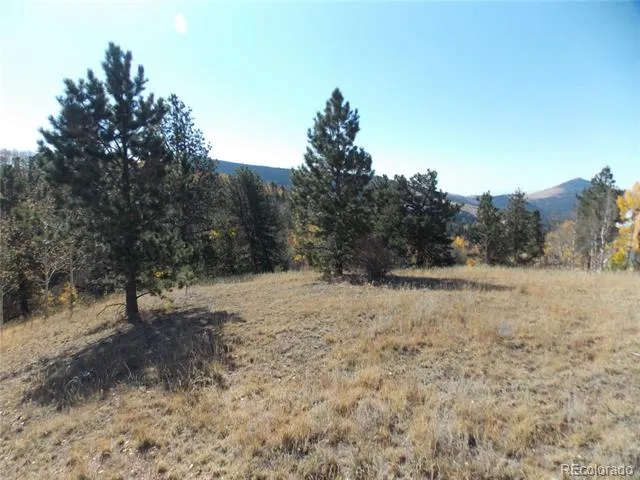 1944 May Queen Drive Cripple Creek, CO 80813