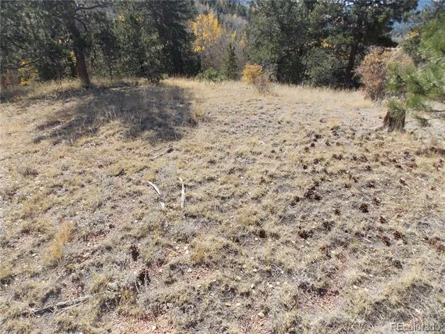 1944 May Queen Drive Cripple Creek, CO 80813