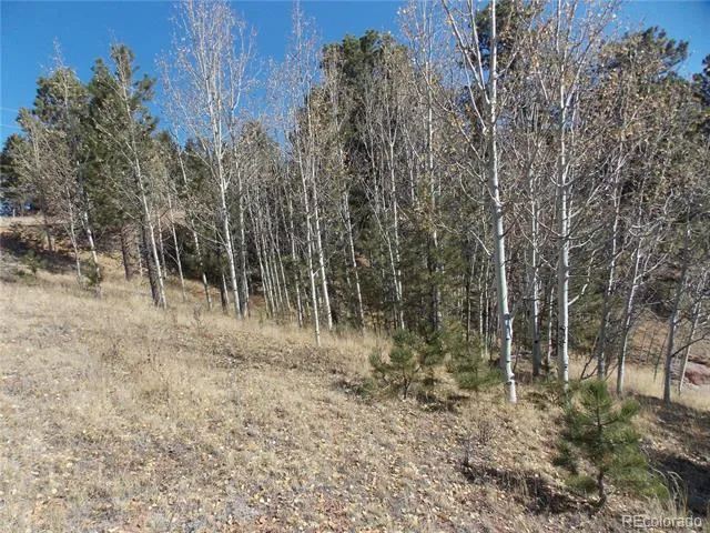 1944 May Queen Drive Cripple Creek, CO 80813
