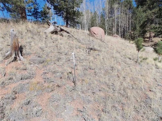 1944 May Queen Drive Cripple Creek, CO 80813