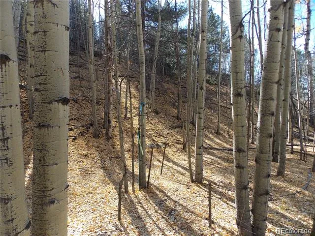 1944 May Queen Drive Cripple Creek, CO 80813