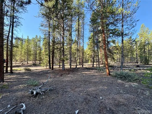 776 Birch Drive Twin Lakes, CO 80461