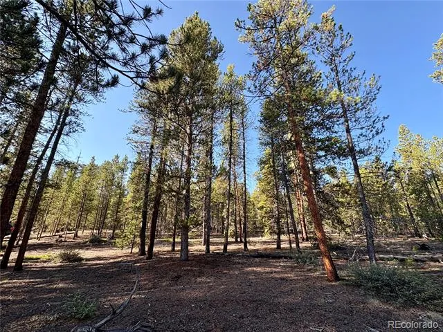 776 Birch Drive Twin Lakes, CO 80461