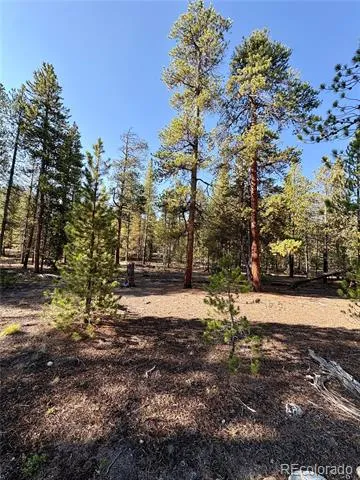 776 Birch Drive Twin Lakes, CO 80461