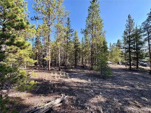 776 Birch Drive Twin Lakes, CO 80461