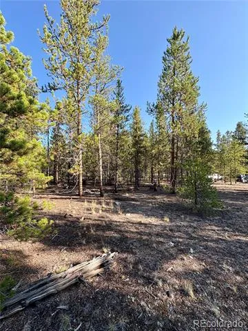 776 Birch Drive Twin Lakes, CO 80461