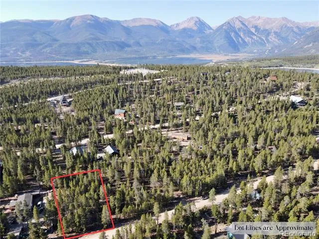 776 Birch Drive Twin Lakes, CO 80461