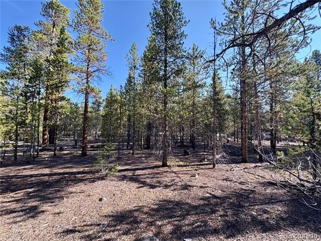 776 Birch Drive Twin Lakes, CO 80461