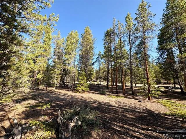 776 Birch Drive Twin Lakes, CO 80461
