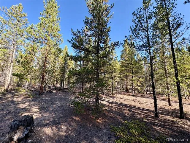 776 Birch Drive Twin Lakes, CO 80461