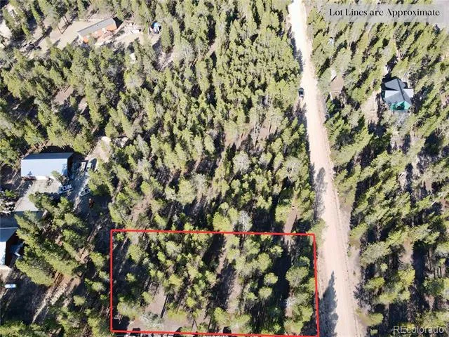 776 Birch Drive Twin Lakes, CO 80461