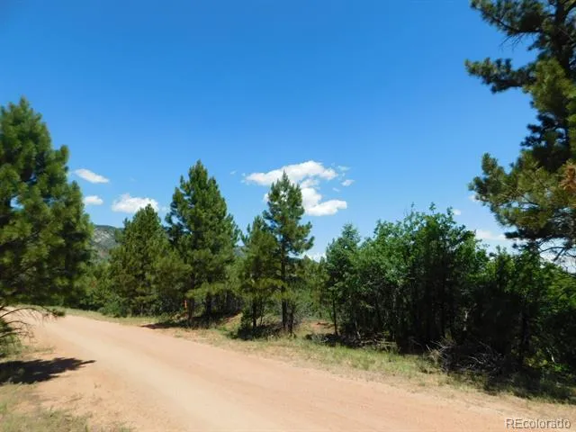 6447 Thunderbird Road Larkspur, CO 80118
