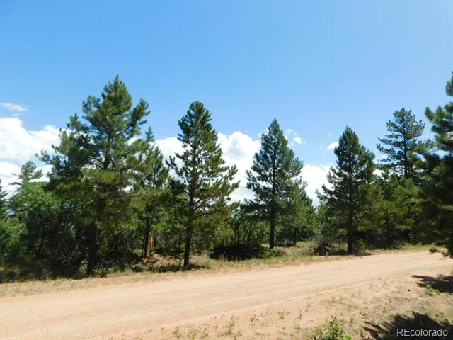 6447 Thunderbird Road Larkspur, CO 80118