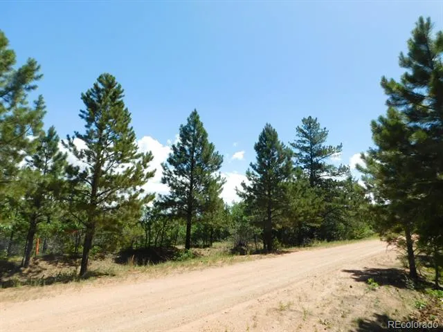 6447 Thunderbird Road Larkspur, CO 80118