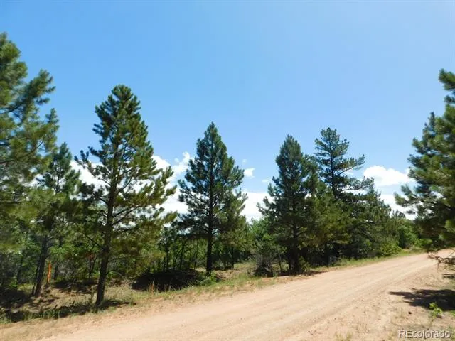 6447 Thunderbird Road Larkspur, CO 80118