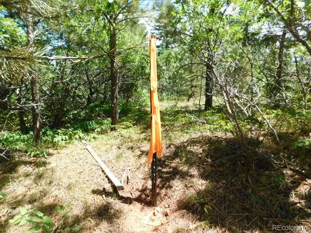 6447 Thunderbird Road Larkspur, CO 80118