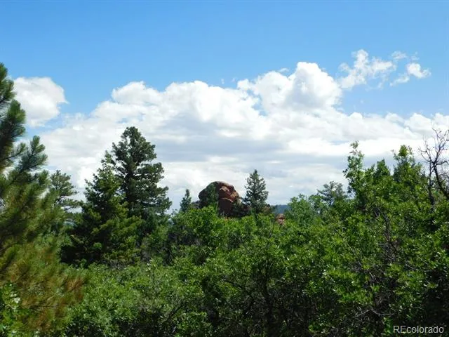 6447 Thunderbird Road Larkspur, CO 80118