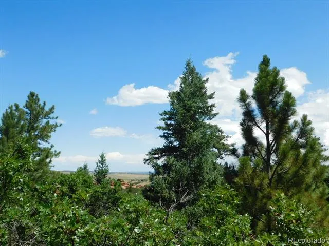 6447 Thunderbird Road Larkspur, CO 80118