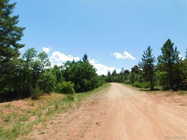 6447 Thunderbird Road Larkspur, CO 80118