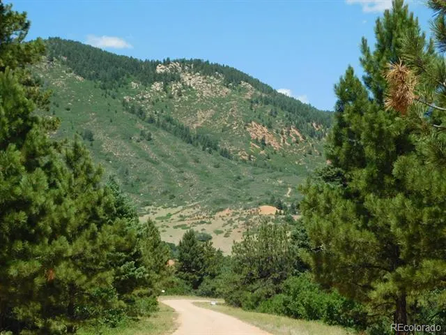 6447 Thunderbird Road Larkspur, CO 80118