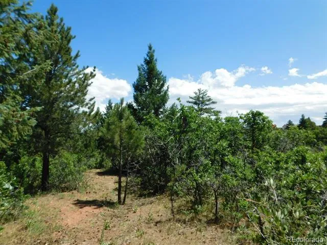 6447 Thunderbird Road Larkspur, CO 80118