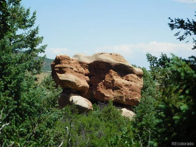 6447 Thunderbird Road Larkspur, CO 80118