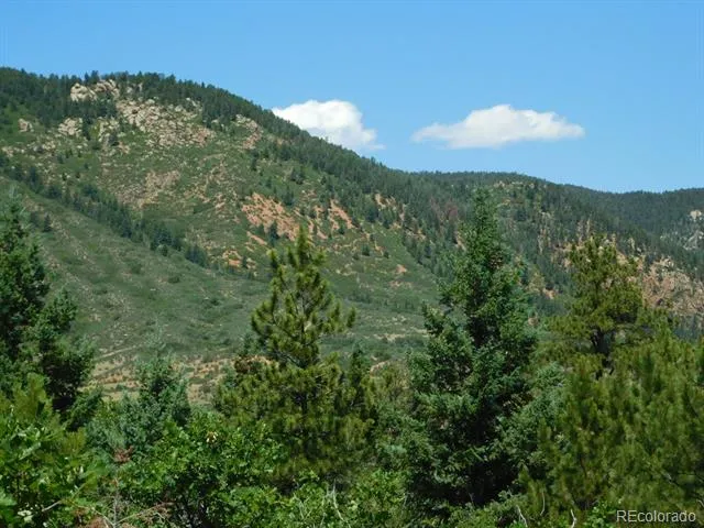 6447 Thunderbird Road Larkspur, CO 80118