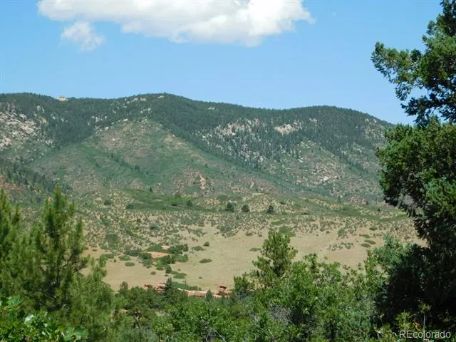 6447 Thunderbird Road Larkspur, CO 80118