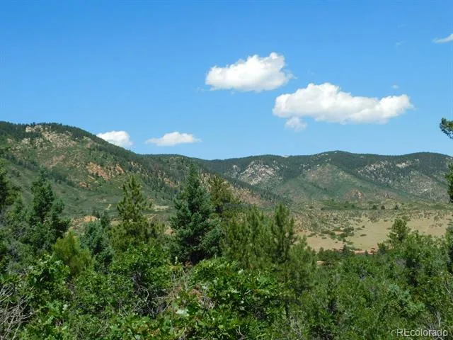 6447 Thunderbird Road Larkspur, CO 80118