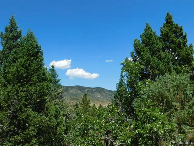 6447 Thunderbird Road Larkspur, CO 80118