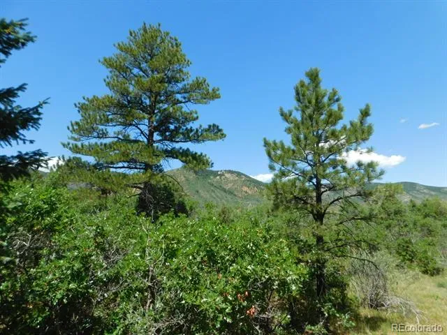 6447 Thunderbird Road Larkspur, CO 80118