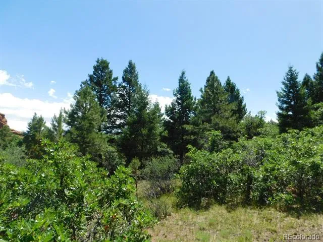 6447 Thunderbird Road Larkspur, CO 80118