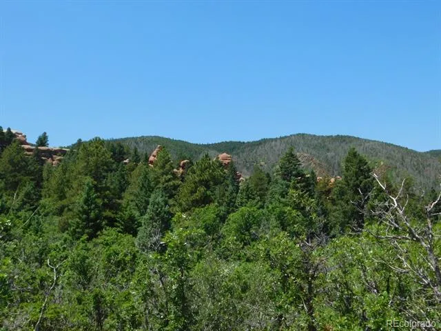 6447 Thunderbird Road Larkspur, CO 80118