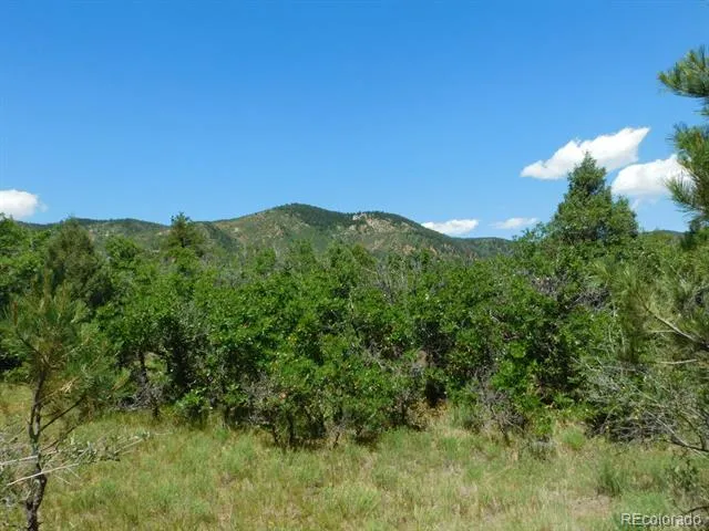 6447 Thunderbird Road Larkspur, CO 80118