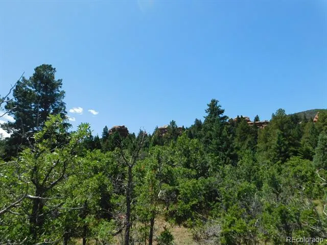 6447 Thunderbird Road Larkspur, CO 80118