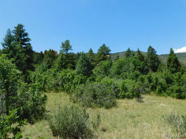 6447 Thunderbird Road Larkspur, CO 80118
