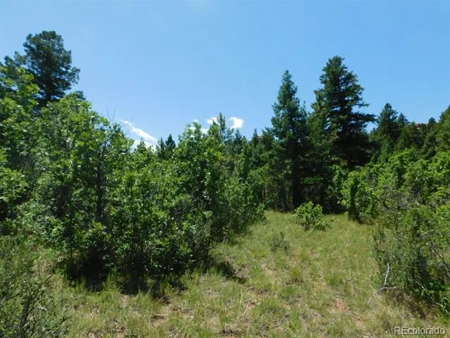 6447 Thunderbird Road Larkspur, CO 80118