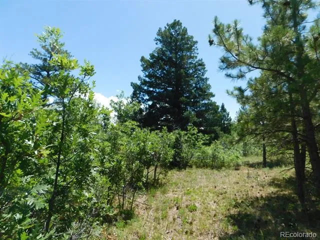 6447 Thunderbird Road Larkspur, CO 80118