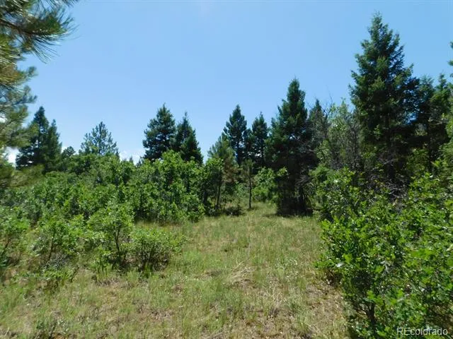 6447 Thunderbird Road Larkspur, CO 80118