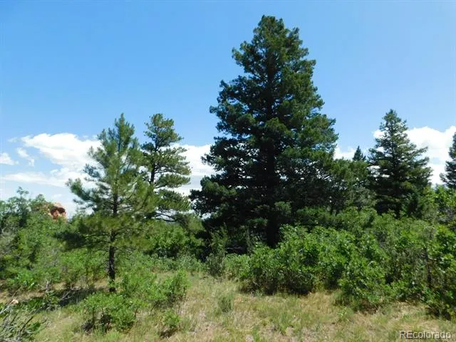 6447 Thunderbird Road Larkspur, CO 80118