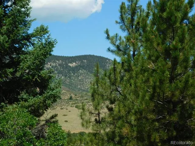 6447 Thunderbird Road Larkspur, CO 80118