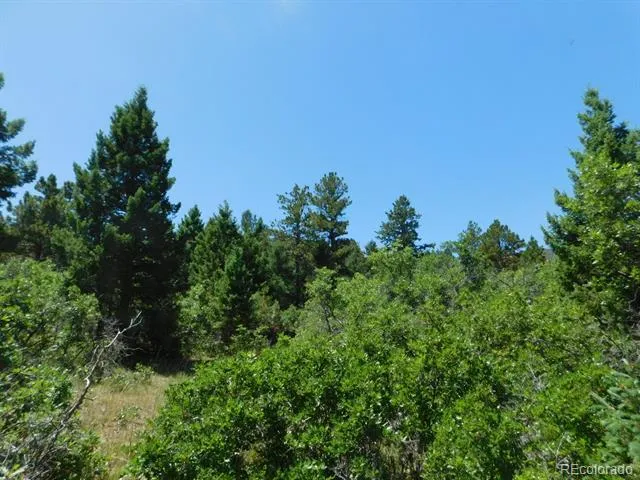6447 Thunderbird Road Larkspur, CO 80118