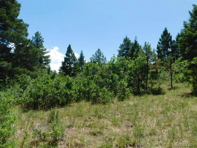 6447 Thunderbird Road Larkspur, CO 80118