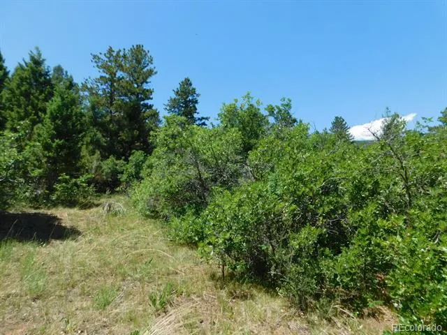 6447 Thunderbird Road Larkspur, CO 80118