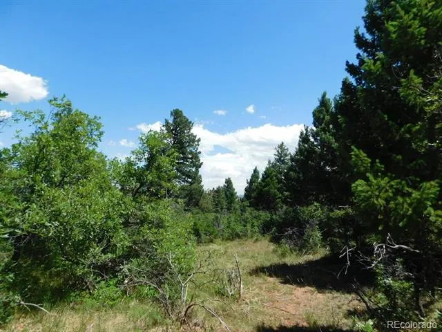 6447 Thunderbird Road Larkspur, CO 80118