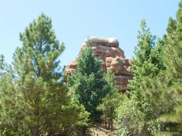 6447 Thunderbird Road Larkspur, CO 80118