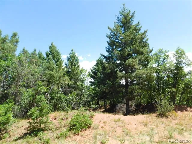 6447 Thunderbird Road Larkspur, CO 80118